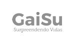 Gaisu